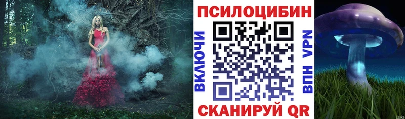 Галлюциногенные грибы GOLDEN TEACHER  как найти наркотики  блэк спрут ссылки  Чита 